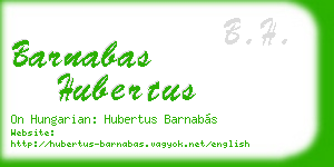 barnabas hubertus business card